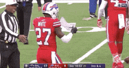 2019 Nfl Football GIF by NFL