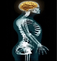 Gold Brain GIF