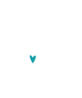 Kingfisher Bay Sticker by Cool Dingo Tour