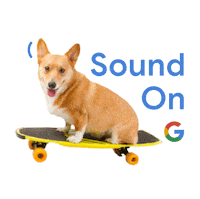 Nest Cam Caughtonnestcam Sticker by Google
