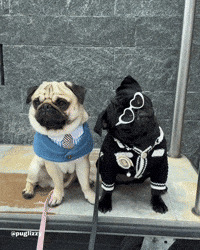 Vacation Smile GIF