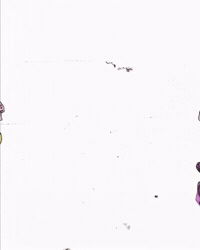 Gregory GIF