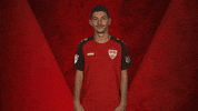 Stuttgart GIF by Bundesliga