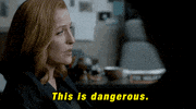 gillian anderson GIF by The X-Files