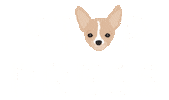 eddiethechihuahua dog news puppy stop Sticker