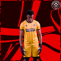 Walk In Sport GIF by Sheffield United Football Club