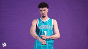 Basketball Nba GIF by Charlotte Hornets