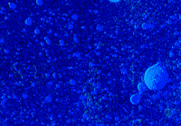 animation color GIF by EmiLi