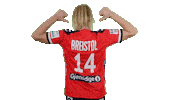 Handball Euro Sticker by EHF