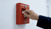 Gerry Scotti GIF by HONOR Italia