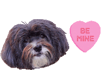 Valentines Day Love Sticker