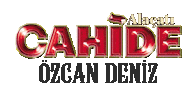 Ozcan Deniz Sticker by cahide
