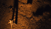 Desert Bandit GIF by Don Toliver