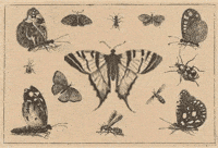 Butterfly GIF by GIF IT UP