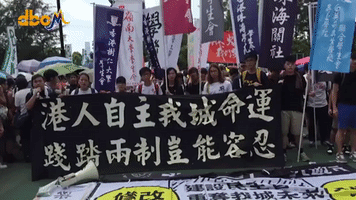Pro-Democracy Activists Gather for Hong Kong March