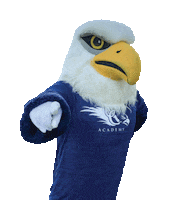 UCAcademy school christian united eagle Sticker