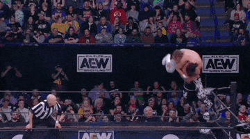 Hangman Adam Page Wrestling GIF by AEWonTV