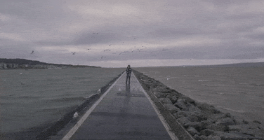 bill ryder jones GIF by Domino Recording Co.