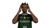 Handball-Bundesliga Handball Sticker by LIQUI MOLY HBL