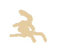 Dance Fun Sticker by zapateo