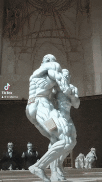 Mma Jordan GIF by systaime