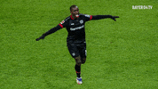 Bundesliga B04 GIF by Bayer 04 Leverkusen