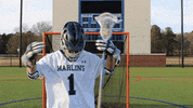 vwu_marlins marlins vwu wethebeach virginiawesleyan GIF