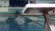 Wethebeach Virginiawesleyan GIF by VWU Marlins