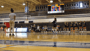 vwu_marlins marlins vwu wethebeach virginiawesleyan GIF