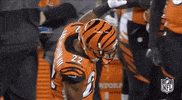 Regular Season Football GIF by NFL