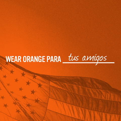 GIF by Univision Noticias