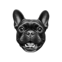 Pet Marrie Sticker by Dogis