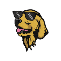 Cool Dog Wizard Sticker