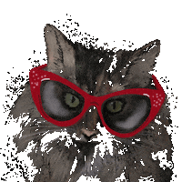Cat Glasses Sticker
