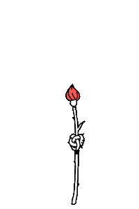 rose yes Sticker by HeyTVM