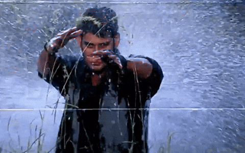 Mahesh Babu Bob GIF
