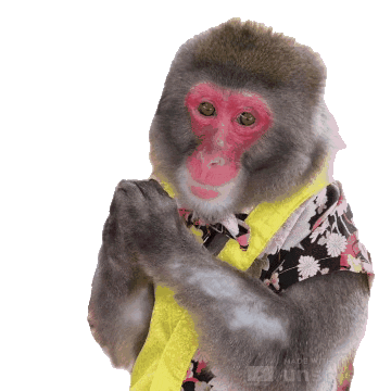 Fun Monkey Sticker