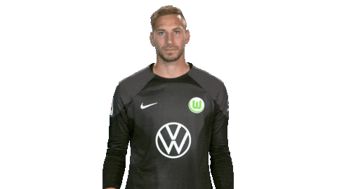 Lets Go Football Sticker by VfL Wolfsburg