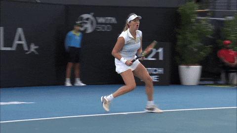 Pavlyuchenkova GIF