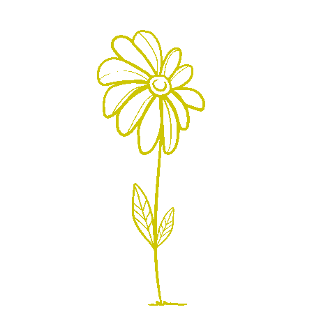 Flowers Springtime Sticker by HANS IM GLÜCK