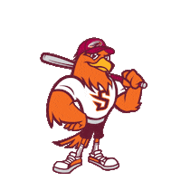 River Hawks Baseball Sticker by Susquehanna University
