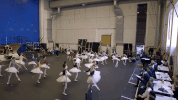 swan lake dance GIF