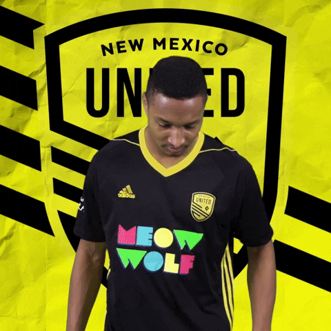 Happy Pro Soccer GIF by New Mexico United