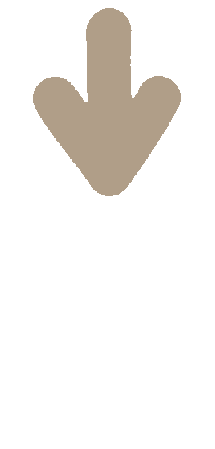 Beige 矢印 Sticker
