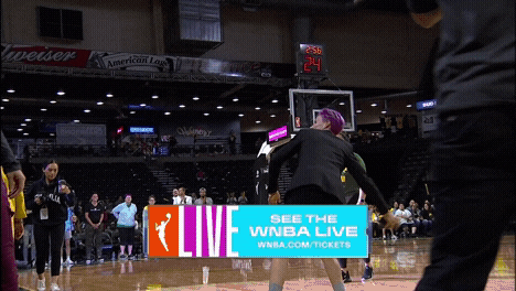 Megan Rapinoe Sport GIF by WNBA