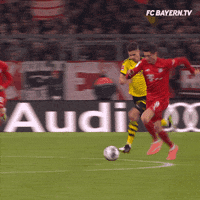 Champions League Football GIF by FC Bayern Munich