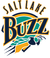 baseball throwback Sticker by Salt Lake Bees