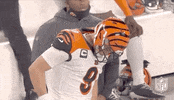 Regular Season Football GIF by NFL