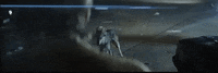big cat GIF by Domino Recording Co.