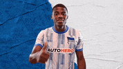 Bundesliga Thumbs Up GIF by Hertha BSC